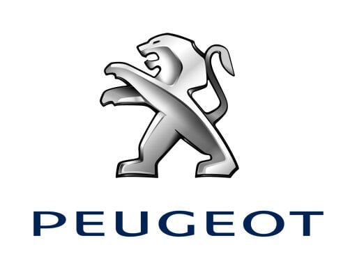 Peugeot 2 Din