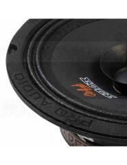 EDBXPRO6W-E0 | EDGE DBX Serisi 6 inç 300 watt Profesyonel Ses Midrange Hoparlörleri - Çift