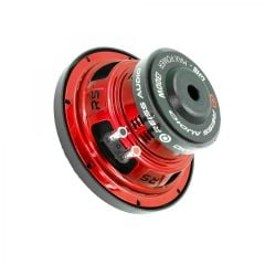 Reiss Audio RS-GH10 25 Cm Subwoofer Çift Bobin 400W Maksimum 200W RMS
